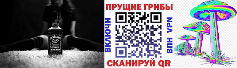 Галлюциногенные грибы Cubensis  mega как зайти  Богучар 